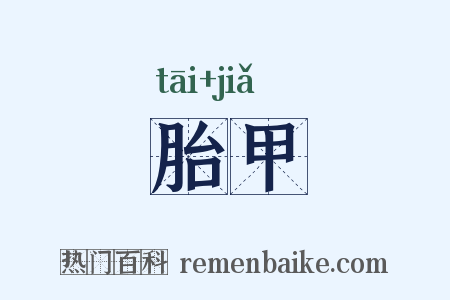 胎甲是什么意思的图片